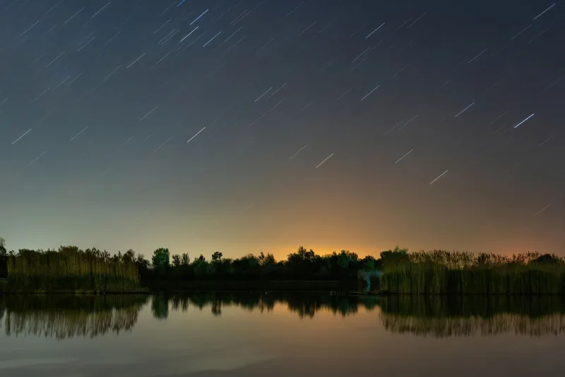 Stolen Darkness: The Ecological Cost of Artificial Night and the Science Working to Reclaim It