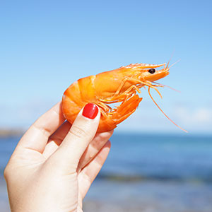 Shrimp contains a lot of magnesium