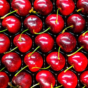 Punnet of Tart Cherries